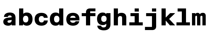 FKGroteskMono Black Font LOWERCASE