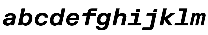 FKGroteskMono BoldItalic Font LOWERCASE