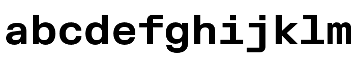 FKGroteskMono Bold Font LOWERCASE