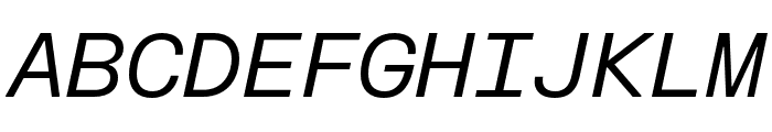 FKGroteskMono Italic Font UPPERCASE