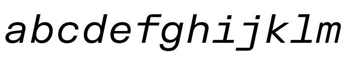 FKGroteskMono Italic Font LOWERCASE