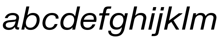 FKGroteskNeue Italic Font LOWERCASE