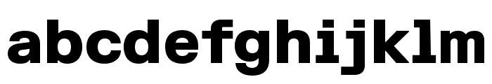 FKGroteskSemiMono Black Font LOWERCASE