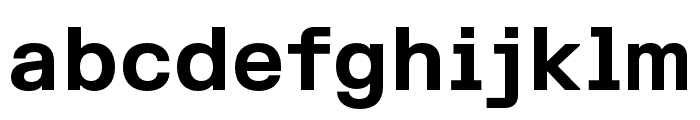 FKGroteskSemiMono Bold Font LOWERCASE