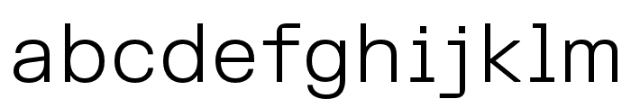 FKGroteskSemiMono Light Font LOWERCASE