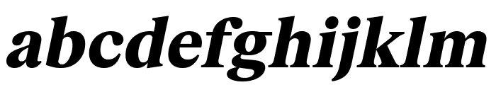 FKRomanStandard BlackOblique Font LOWERCASE