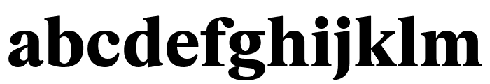 FKRomanStandard Black Font LOWERCASE