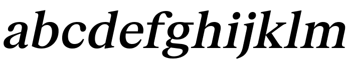 FKRomanStandard MediumOblique Font LOWERCASE