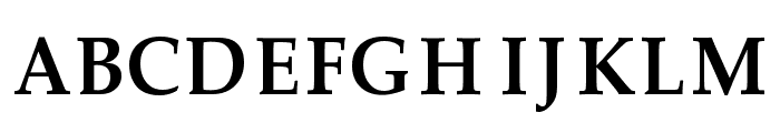 FN Shamim Jhinuk Unicode Font UPPERCASE