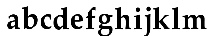 FN Shamim Jhinuk Unicode Font LOWERCASE