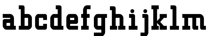 FRITZrounded700 Font LOWERCASE