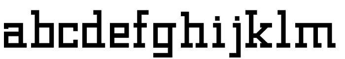 FRITZwide500 Font LOWERCASE