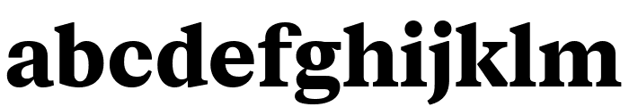 FabricSerif Bold Font LOWERCASE