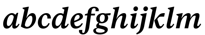 FabricSerif MediumItalic Font LOWERCASE