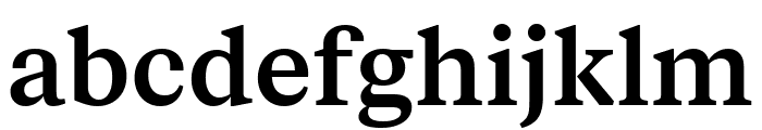 FabricSerif Medium Font LOWERCASE