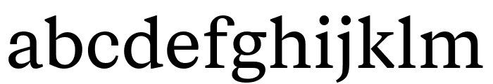 FabricSerif Regular Font LOWERCASE
