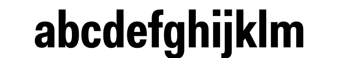 Fakt Condensed Bold Font LOWERCASE