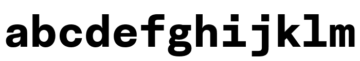 Fakt Mono Bold Font LOWERCASE