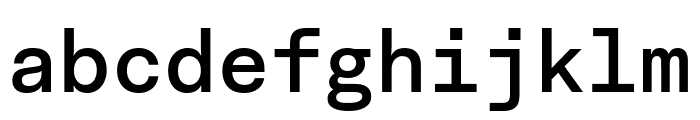 Fakt Mono Medium Font LOWERCASE