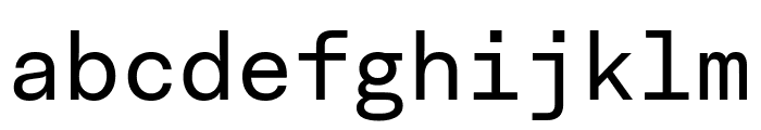 Fakt Mono Normal Font LOWERCASE