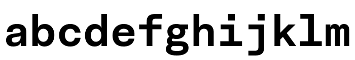 Fakt Mono SemiBold Font LOWERCASE