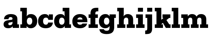 Fakt Slab Black Font LOWERCASE