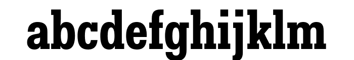 Fakt Slab Condensed Bold Font LOWERCASE