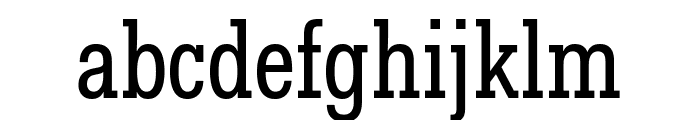 Fakt Slab Condensed Normal Font LOWERCASE