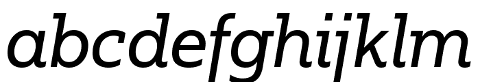 Fakt Slab Normal Italic Font LOWERCASE