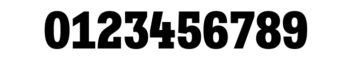 Fakt Slab SemiCondensed Black Font OTHER CHARS