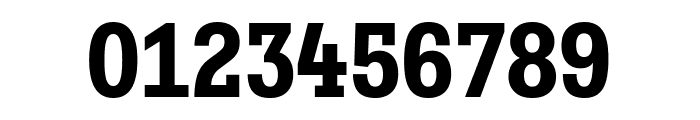 Fakt Slab SemiCondensed Bold Font OTHER CHARS