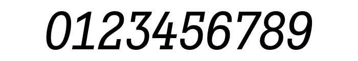 Fakt Slab SemiCondensed Normal Italic Font OTHER CHARS