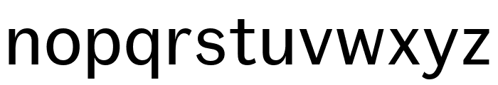Fann Grotesque Regular Pro Font LOWERCASE