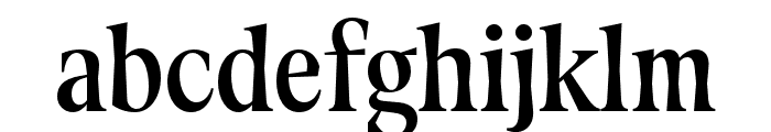 FenulCompressedTRIAL Bold Font LOWERCASE