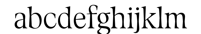 FenulCondensedTRIAL Medium Font LOWERCASE