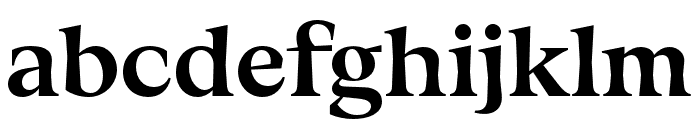 FenulStandardTRIAL Heavy Font LOWERCASE