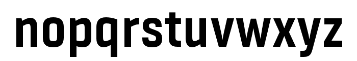 Fester Trial Bold Font LOWERCASE