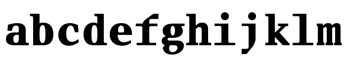 Fleya Bold Mono Font LOWERCASE