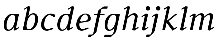 Fleya Light Italic Font LOWERCASE