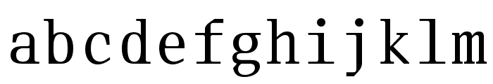 Fleya Light Mono Font LOWERCASE