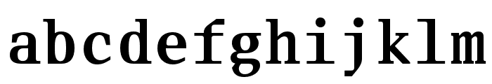 Fleya Medium Mono Font LOWERCASE