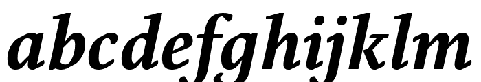 Fresco Plus Bold Italic Font LOWERCASE