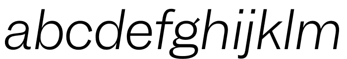 Garnett Light Italic Font LOWERCASE