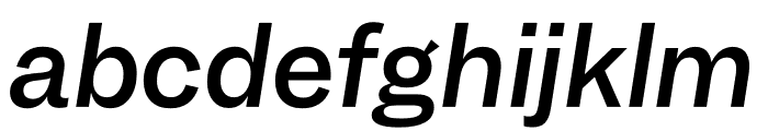 Garnett Medium Italic Font LOWERCASE