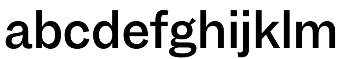 Garnett Medium Font LOWERCASE