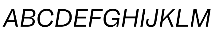 Garnett Regular Italic Font UPPERCASE
