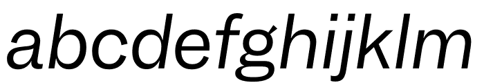 Garnett Regular Italic Font LOWERCASE