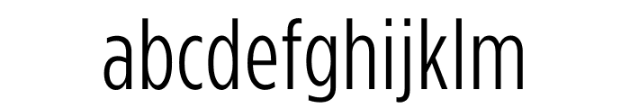 Gotham Condensed ScreenSmart Light Font LOWERCASE