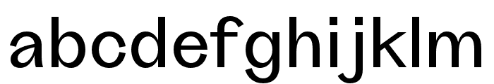 Grotta Medium Font LOWERCASE