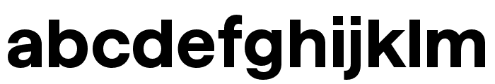 HafferSQXHTRIAL Bold Font LOWERCASE